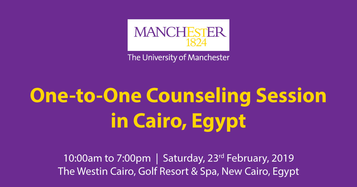One-to-One Counseling Session in Cairo